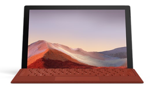 巴宜清洁和维护 Surface